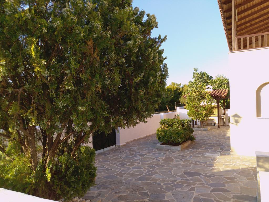Explore Aegina Island Souvala Eksteriør bilde